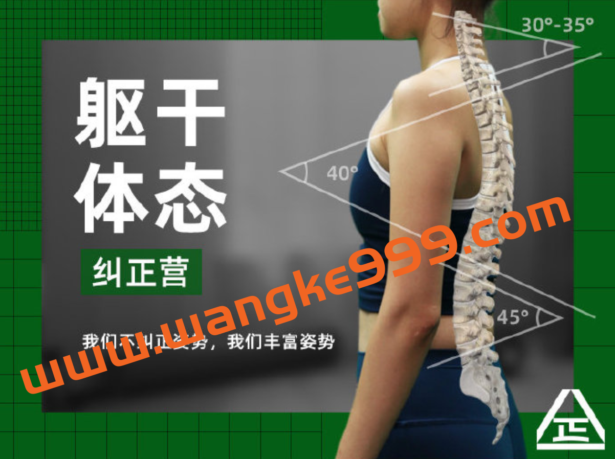一介粗人纠正力量2021年课程：躯干体态纠正营插图