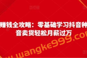 《抖音电商赚钱全攻略》零基础学习抖音种草，靠抖音卖货轻松月薪过万