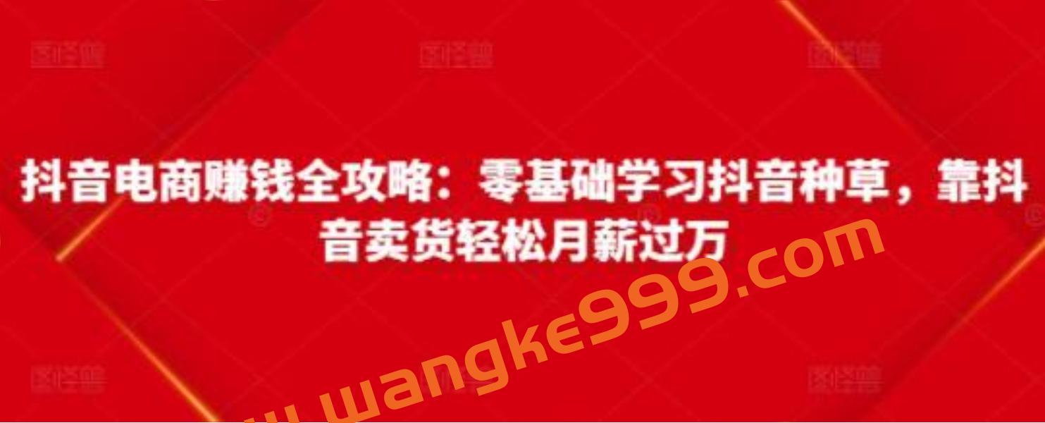 《抖音电商赚钱全攻略》零基础学习抖音种草，靠抖音卖货轻松月薪过万插图