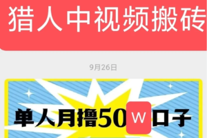 猎人联盟·城哥·中视频搬砖撸金计划技术大升级1期和2期