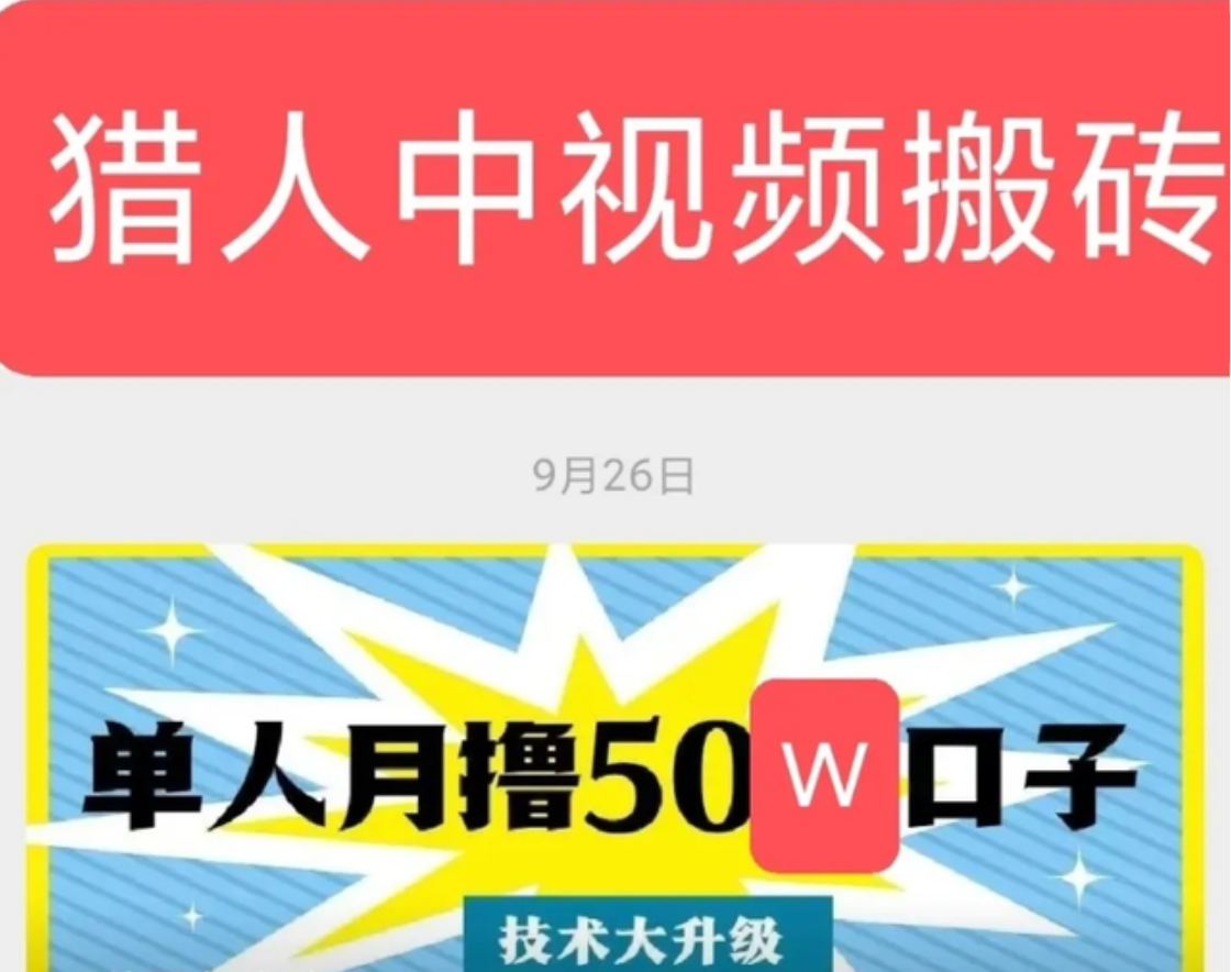 猎人联盟·城哥·中视频搬砖撸金计划技术大升级1期和2期插图