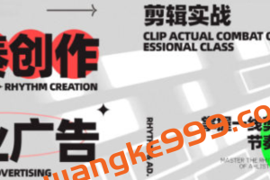 映美线上剪辑课2020，掌握一线剪辑大佬的节奏创作密码【画质高清只有视频】