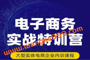 民赛电气内部出品：《电子商务实战特训营》全方位带你入门电商，308种方式玩转电商
