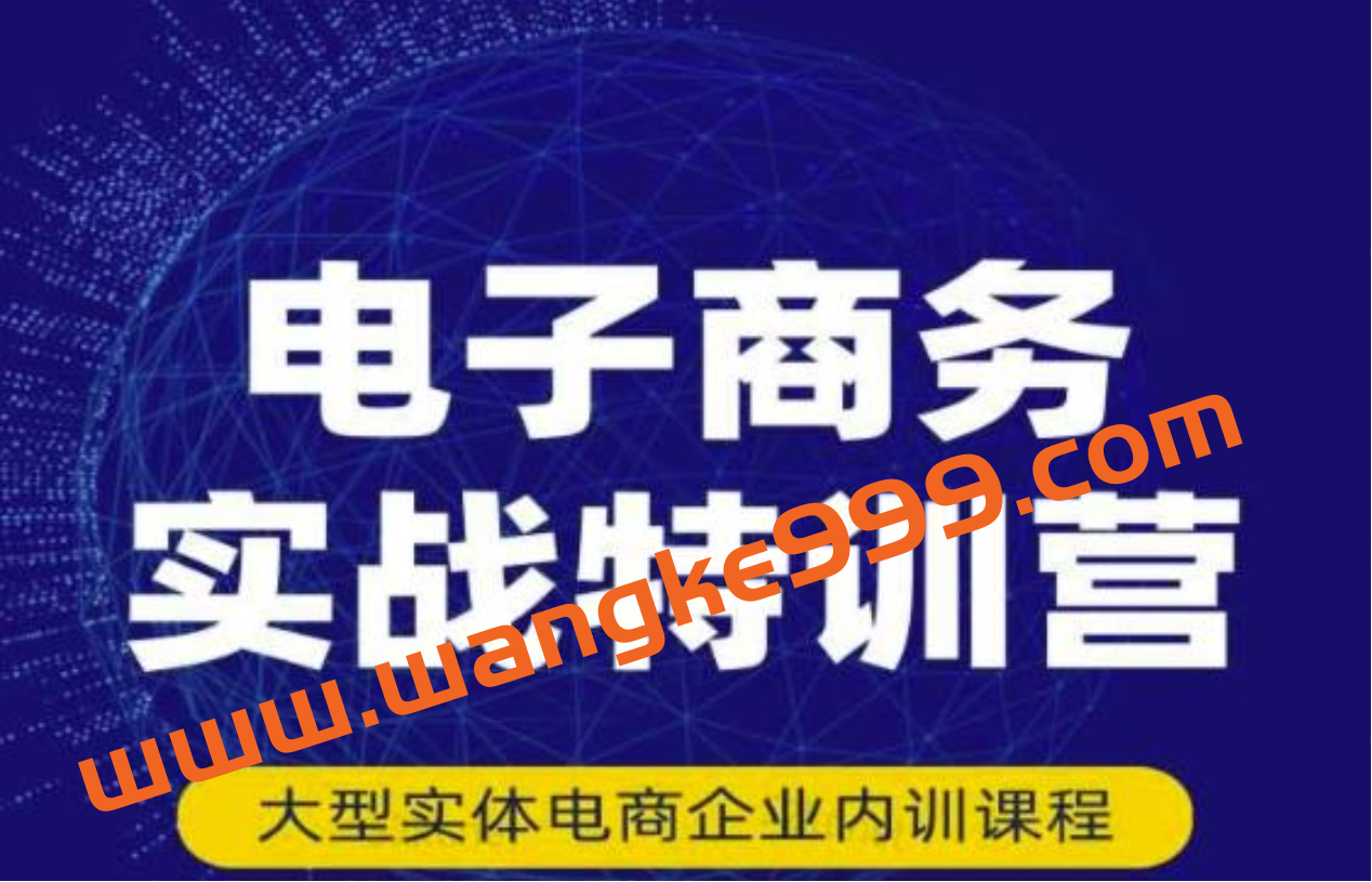 民赛电气内部出品：《电子商务实战特训营》全方位带你入门电商，308种方式玩转电商插图