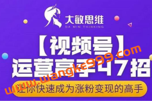大敏思维-视频号运营高手47招，让你快速成为涨粉变现高手