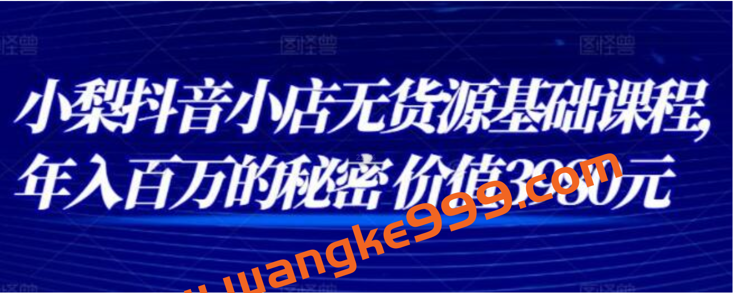 小梨《抖音小店无货源基础课程》年入百万的秘密价值3980元插图