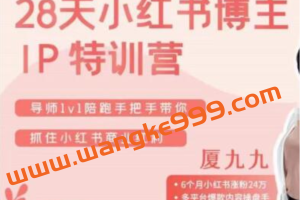 厦九九《28天小红书博主IP特训营》第6期,抓住小红书商业红利