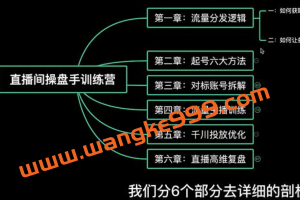 颖儿爱慕《直播间操盘手系列课程》学实战才能干的直播带货运营课