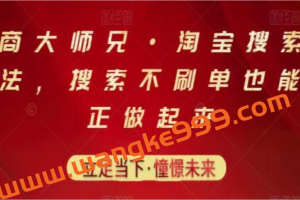 电商大师兄《淘宝搜索新玩法》搜索不刷单也能真正做起来