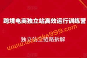 《跨境电商独立站高效运行训练营》独立站全链路拆解