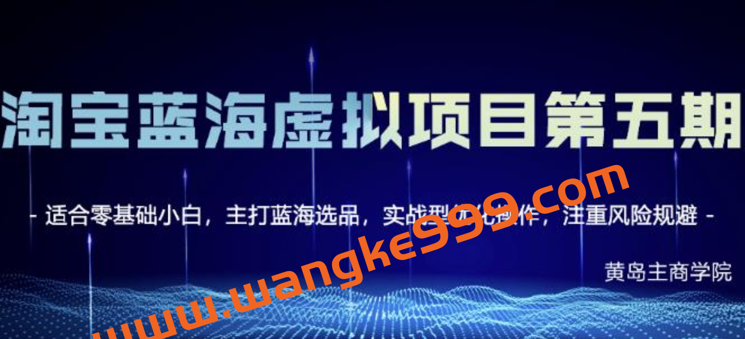 黄岛主《淘宝虚拟无货源项目5.0》适合零基础小白,主打蓝海选品,实战型优化操作插图 黄岛主《淘宝虚拟无货源项目5.0》适合零基础小白,主打蓝海选品,实战型优化操作插图