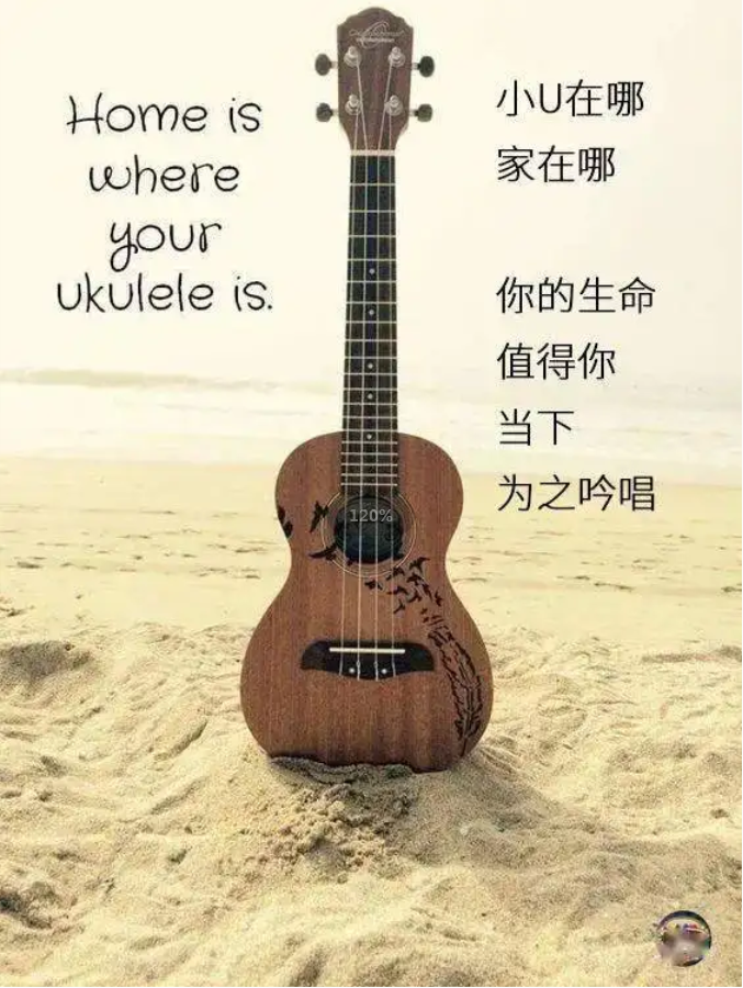 吉他弹唱入门课插图