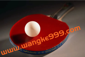 乒乓球教学课程视频合集