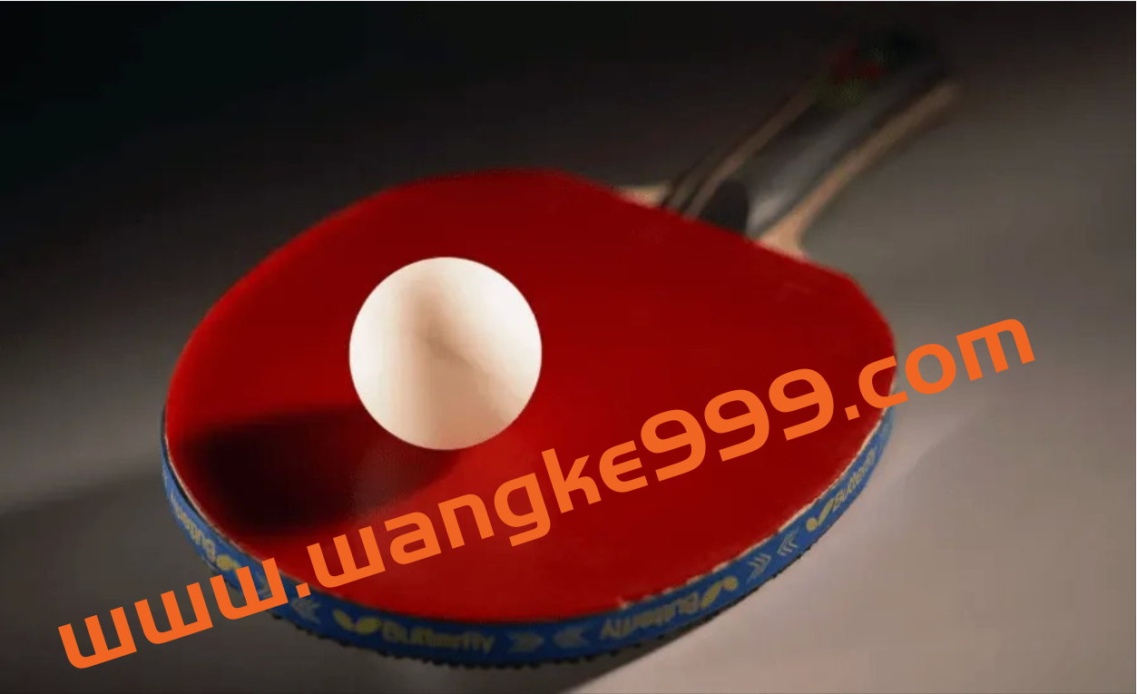 乒乓球教学课程视频合集插图 乒乓球教学课程视频合集插图