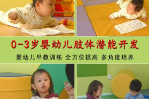 《 0-3岁早教中心》幼儿亲子游戏训练教材