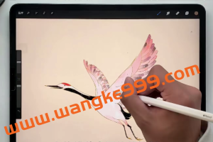 Procreate零基础绘画课