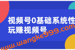 E客先生·视频号0基础系统性玩赚视频号：内容运营+引流+快速变现（20节课）
