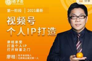 桔子会·廖桔亲授视频号个人IP打造：让赚钱变得更简单，打开财富之门