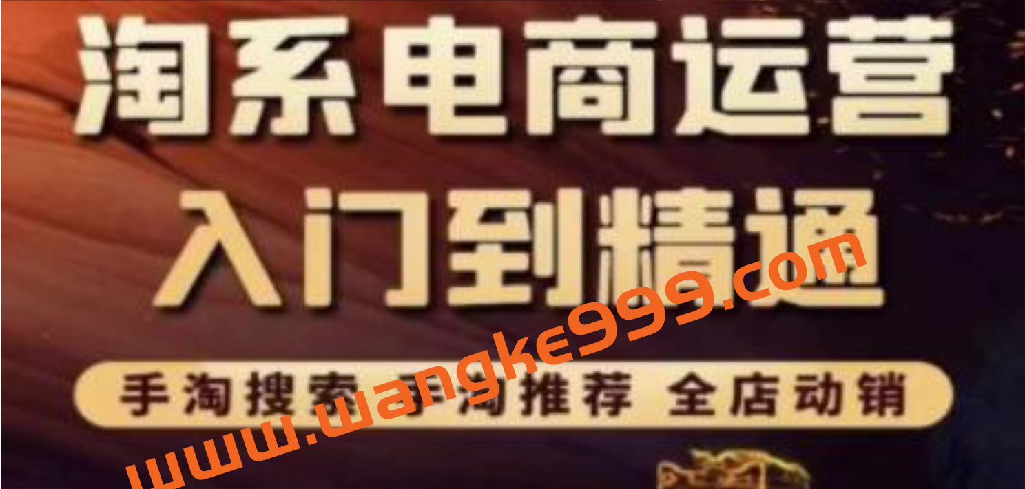 《淘系电商入门到精通》手淘搜索,手淘推荐,全店动销(价值1099元)插图 《淘系电商入门到精通》手淘搜索,手淘推荐,全店动销(价值1099元)插图