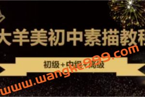 大美羊艺术：零基础学素描初中高级