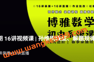 博雅 孙维刚初中数学系统课第四期《几何四期》视频➕ 资料