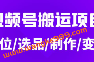 从0到1玩转视频号，月入5位数的视频号搬运项目，定位+选品+制作+变现全流程