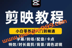 特效罗·剪映剪辑特效速成班：教你一部手机玩转短视频，提供上千款特效素材