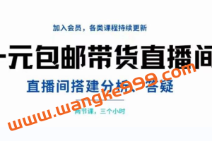一元包邮带货直播间搭建，两节课三小时，搭建、分析、答疑