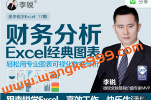 十七期：李锐Excel财务分析经典图表