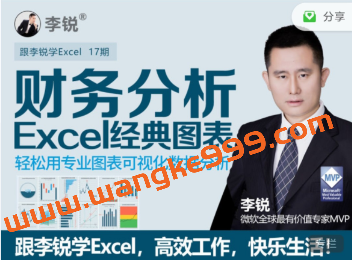 十七期：李锐Excel财务分析经典图表插图