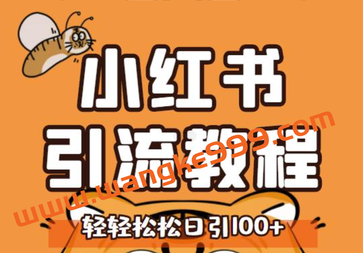 小红书运营引流全系列课程,每天引流100精准粉插图 小红书运营引流全系列课程,每天引流100精准粉插图