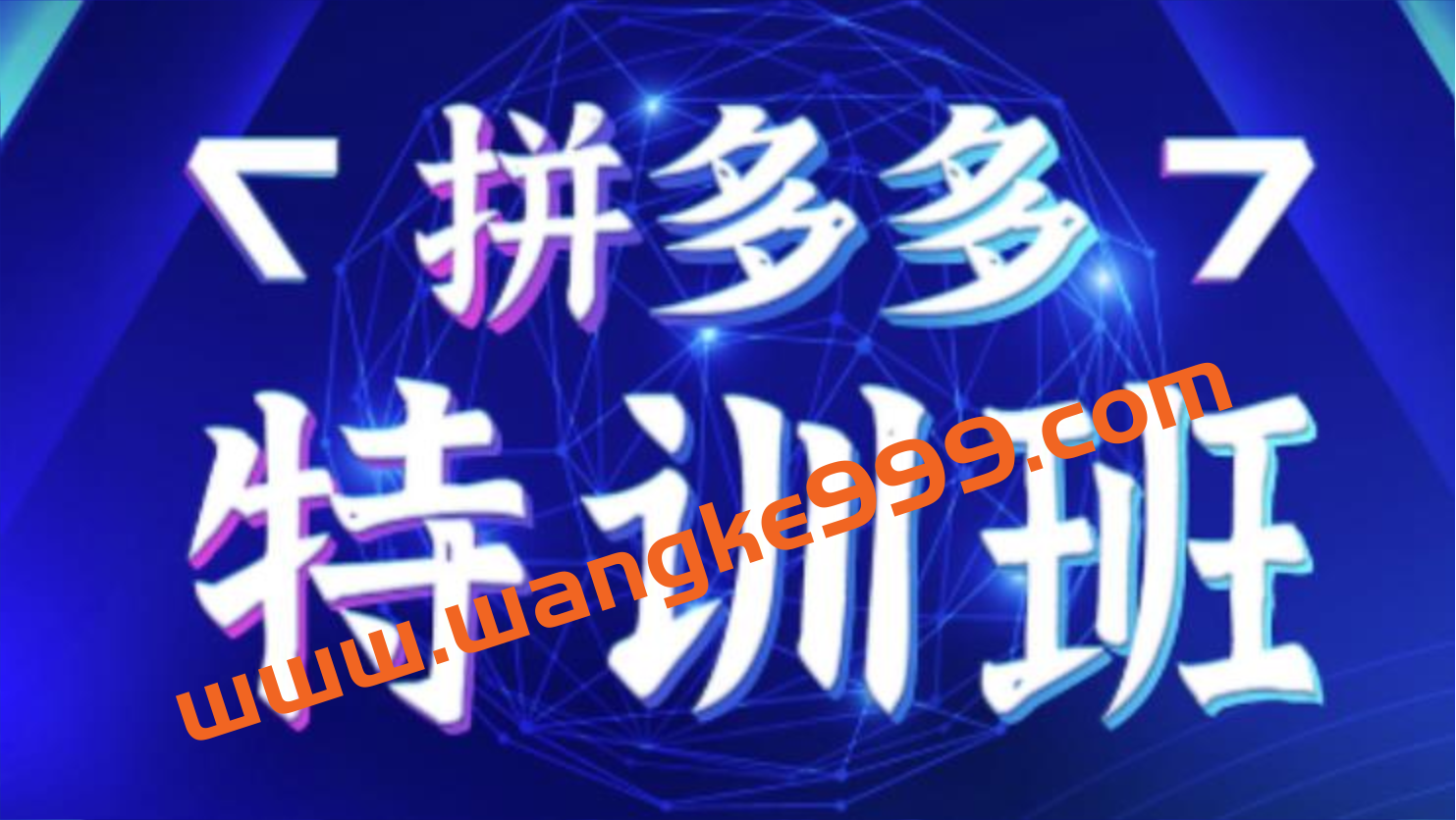 星雪教育·拼多多基础班+进阶班+突破班,用系统的学习模式快速改变现状价值3580元插图 星雪教育·拼多多基础班+进阶班+突破班,用系统的学习模式快速改变现状价值3580元插图