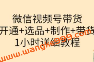 陈奶爸《微信视频号带货》开通+选品+制作+带货