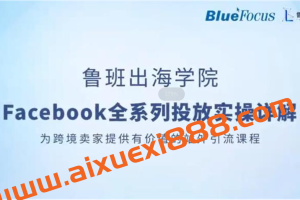 鲁班《Facebook全系列投放实操详解》