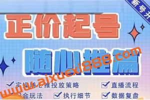 陈吹吹《随心推正价起号》