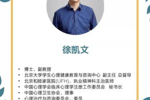 徐凯文精神分析取向心理治疗初中级