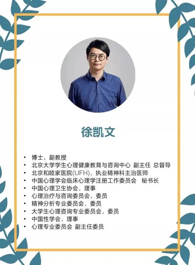 徐凯文精神分析取向心理治疗初中级插图