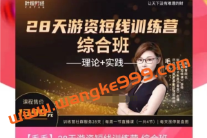 【毛毛】28天游资短线训练营-综合班