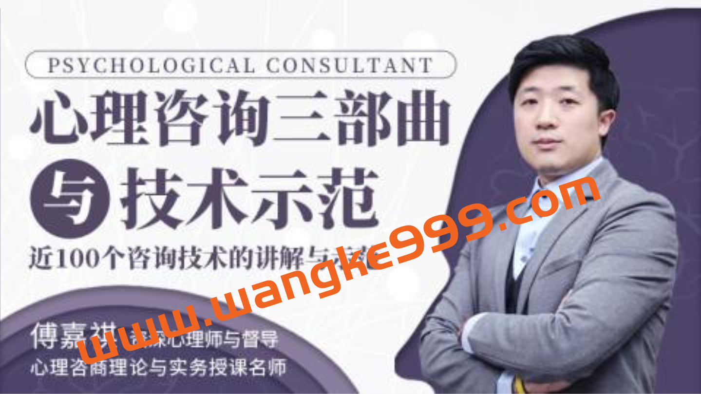 傅嘉祺 心理咨询三部曲与技术示范 四大阶段11大学派75集高清视频插图