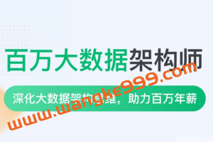 奈学-P8 百万大数据架构师一期
