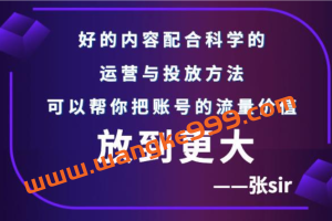 张sir账号流量增长课，告别海王流量，让你的流量更精准