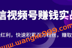 《微信视频号赚钱实战》视频号运营引流实战技巧
