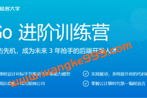 极客时间Go进阶训练营3期