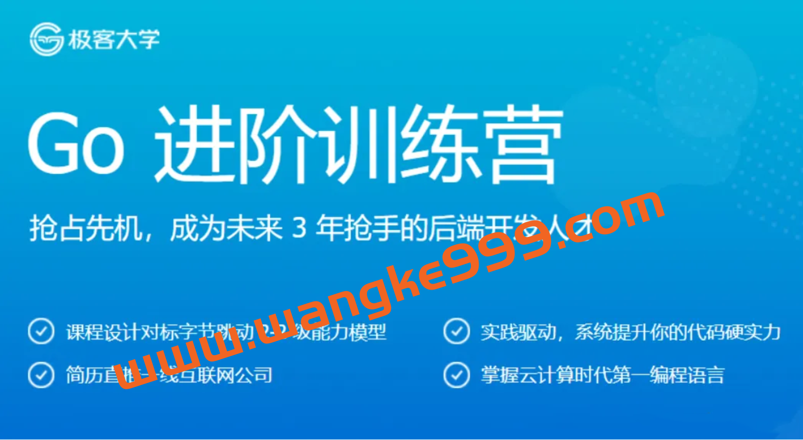极客时间Go进阶训练营3期插图