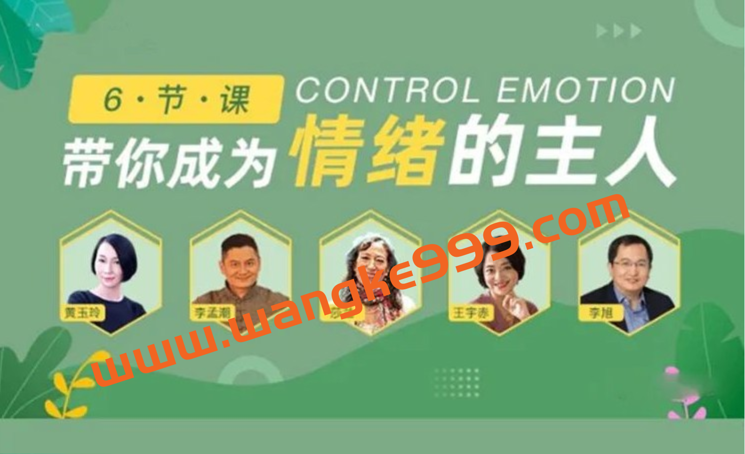 黄玉玲 李孟潮 等 成年人必听的6堂情绪认知课 音频+文字稿插图