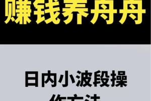 赚钱养舟舟 日内小波段操作方法 期货课程