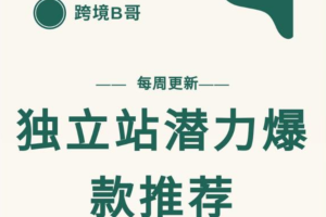 【跨境B哥】独立站潜力爆款选品推荐，测款出单率高达百分之80