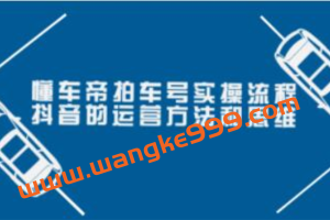 张小伟懂车帝《拍车号实操流程》抖音的运营方法和思维(价值699元)