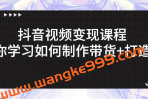 抖音短视频变现课程：带你学习如何制作带货+打造IP【41节】