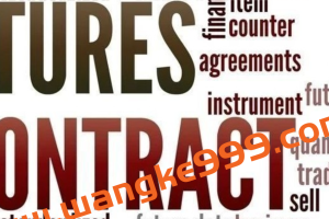 张扬飞投资组合策略7天入门